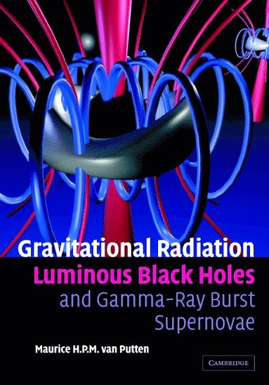 bokomslag Gravitational Radiation, Luminous Black Holes and Gamma-Ray Burst Supernovae