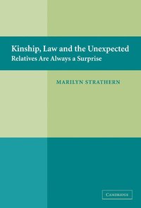 bokomslag Kinship, Law and the Unexpected