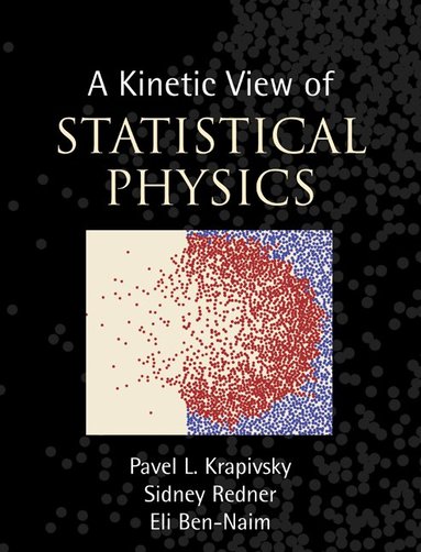 Pavel L. Krapivsky, Sidney Redner, Eli Ben-Naim - A Kinetic View of Statistical Physics, Inbunden