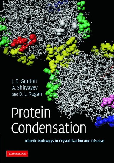 bokomslag Protein Condensation