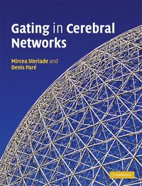 bokomslag Gating in Cerebral Networks