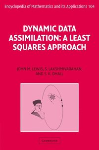 bokomslag Dynamic Data Assimilation