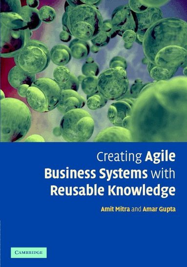 A. Mitra, A. Gupta - Creating Agile Business Systems with Reusable Knowledge, Inbunden