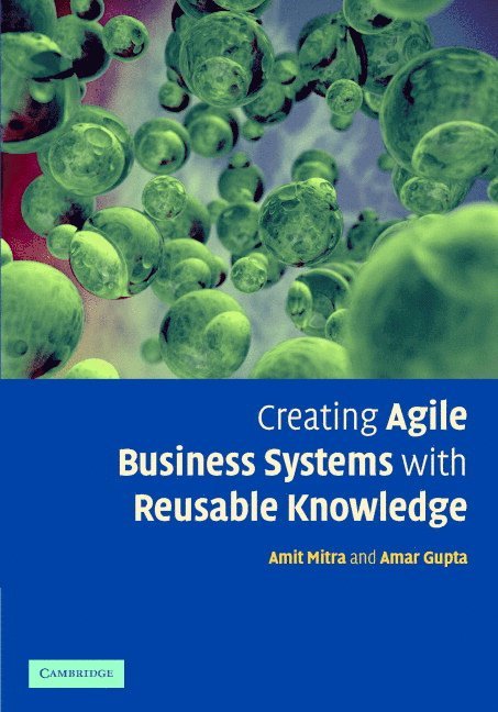 A. Mitra, A. Gupta, A. (University of Arizona) Gupta, A Mitra - Creating Agile Business Systems with Reusable Knowledge, Inbunden