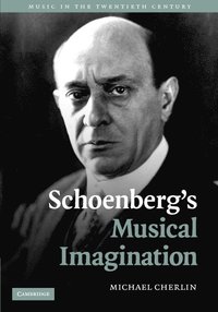 bokomslag Schoenberg's Musical Imagination