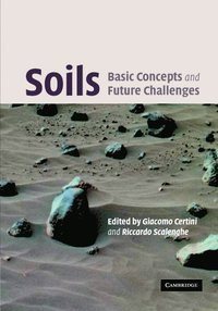 bokomslag Soils