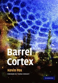 bokomslag Barrel Cortex