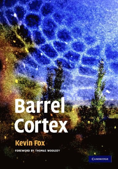 bokomslag Barrel Cortex