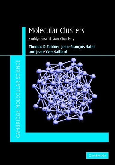 Thomas Fehlner, Jean-Francois Halet, Jean-Yves Saillard - Molecular Clusters, Inbunden
