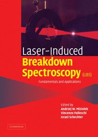 bokomslag Laser Induced Breakdown Spectroscopy