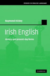 bokomslag Irish English