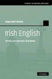 bokomslag Irish English