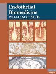 bokomslag Endothelial Biomedicine