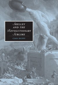 bokomslag Shelley and the Revolutionary Sublime