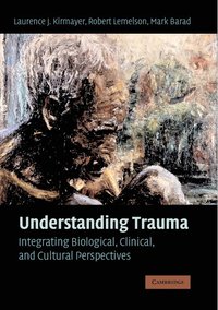 bokomslag Understanding Trauma