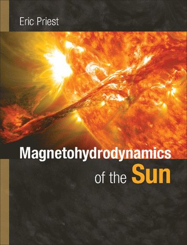 bokomslag Magnetohydrodynamics of the Sun