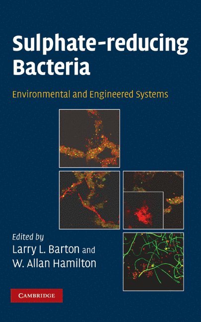 Sulphate-Reducing Bacteria 1