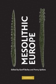 bokomslag Mesolithic Europe
