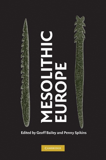 Geoff Bailey, Penny Spikins, Geoff (University of York) Bailey, Penny (University of York) Spikins - Mesolithic Europe, Inbunden