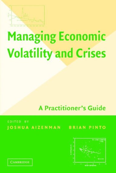 bokomslag Managing Economic Volatility and Crises