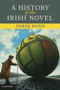 bokomslag A History of the Irish Novel