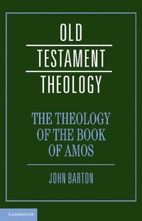 bokomslag The Theology of the Book of Amos