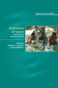 bokomslag Grammars of Space