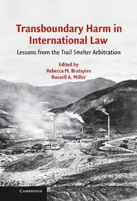 bokomslag Transboundary Harm in International Law