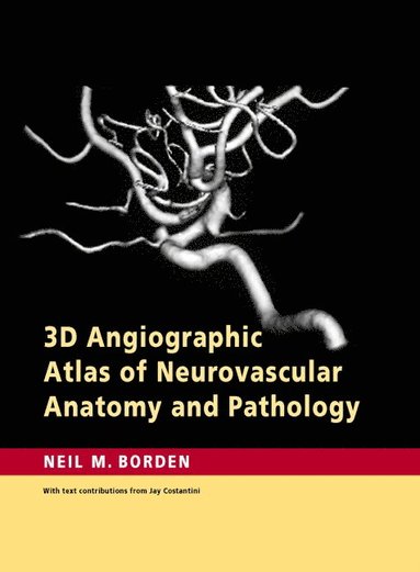 bokomslag 3D Angiographic Atlas of Neurovascular Anatomy and Pathology