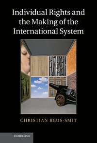 bokomslag Individual Rights and the Making of the International System