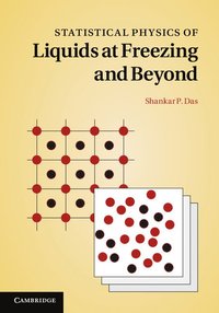 bokomslag Statistical Physics of Liquids at Freezing and Beyond