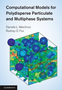 bokomslag Computational Models for Polydisperse Particulate and Multiphase Systems
