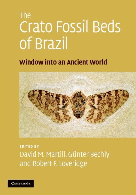 David M. (University of Portsmouth) Martill, Gunter Bechly, Robert F. (University of Portsmouth) Loveridge, David M. Martill, Günter Bechly, Robert F. Loveridge - The Crato Fossil Beds of Brazil, Inbunden