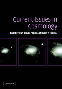 bokomslag Current Issues in Cosmology