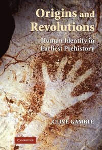 bokomslag Origins and Revolutions
