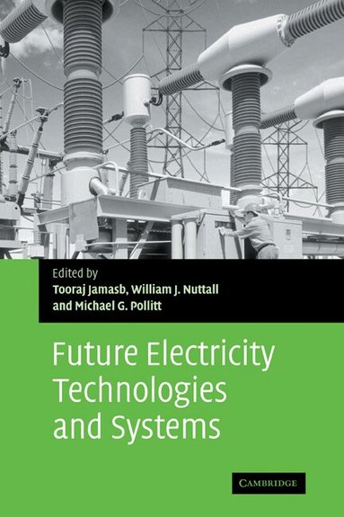 Tooraj Jamasb, William J. Nuttall, Michael G. Pollitt - Future Electricity Technologies and Systems, Inbunden