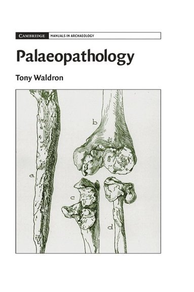 bokomslag Palaeopathology