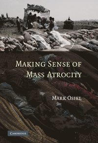 bokomslag Making Sense of Mass Atrocity