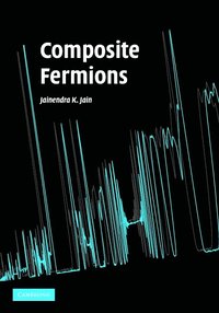 bokomslag Composite Fermions