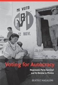 bokomslag Voting for Autocracy