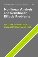 bokomslag Nonlinear Analysis and Semilinear Elliptic Problems