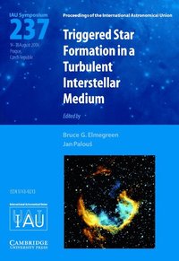 bokomslag Triggered Star Formation in a Turbulent Interstellar Medium (IAU S237)