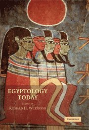 bokomslag Egyptology Today