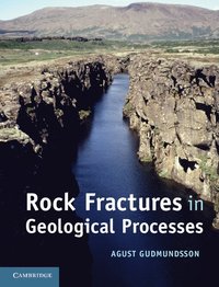 bokomslag Rock Fractures in Geological Processes