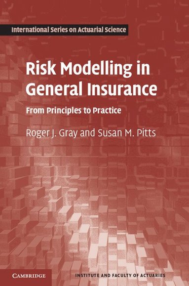 Roger J. Gray, Susan M. Pitts - Risk Modelling in General Insurance, Inbunden