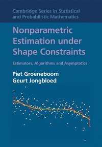 bokomslag Nonparametric Estimation under Shape Constraints