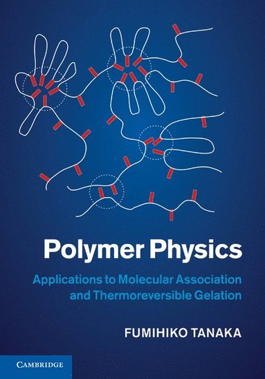 bokomslag Polymer Physics