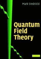 bokomslag Quantum Field Theory
