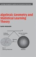 bokomslag Algebraic Geometry and Statistical Learning Theory