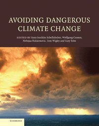 bokomslag Avoiding Dangerous Climate Change